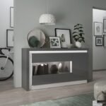 Rea 2 Door Designer Cabinet in Platinum/Light Grey Gloss - Display Cabinets - Home Store UK